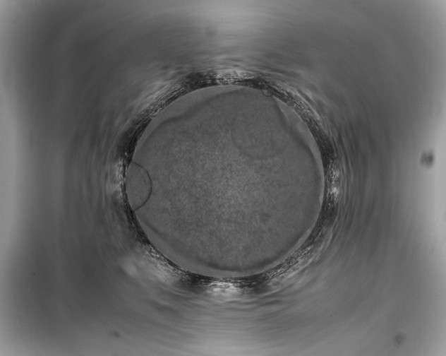 X0000099410519200805161024