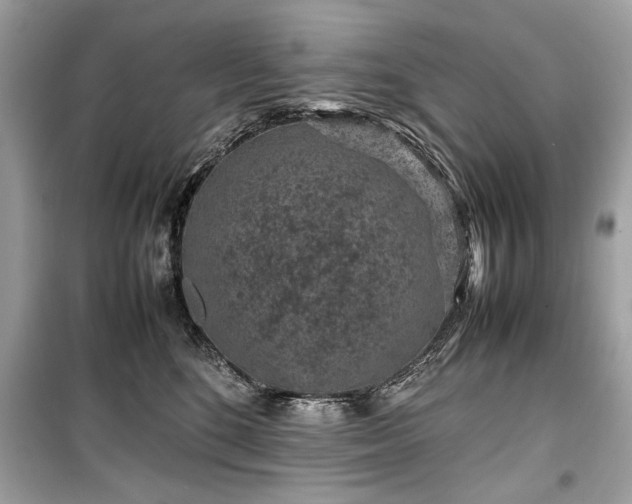 X0000099410520200805161024