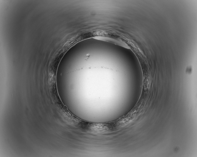 X0000099410521200805161024