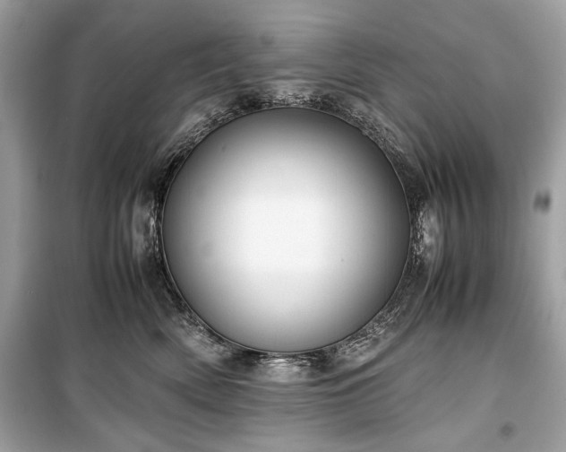 X0000099410522200805161024