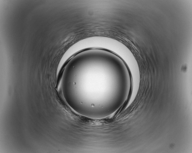 X0000099410523200805161024