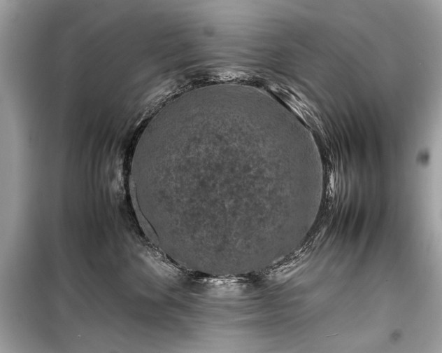 X0000099410524200805161024