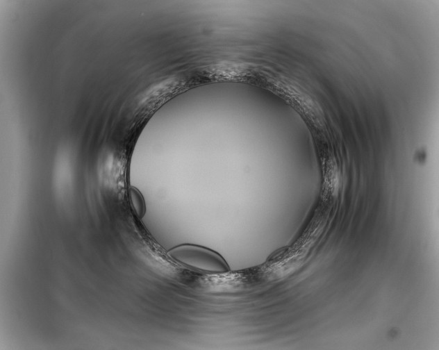 X0000099410526200805161024