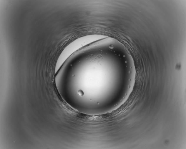 X0000099410527200805161024