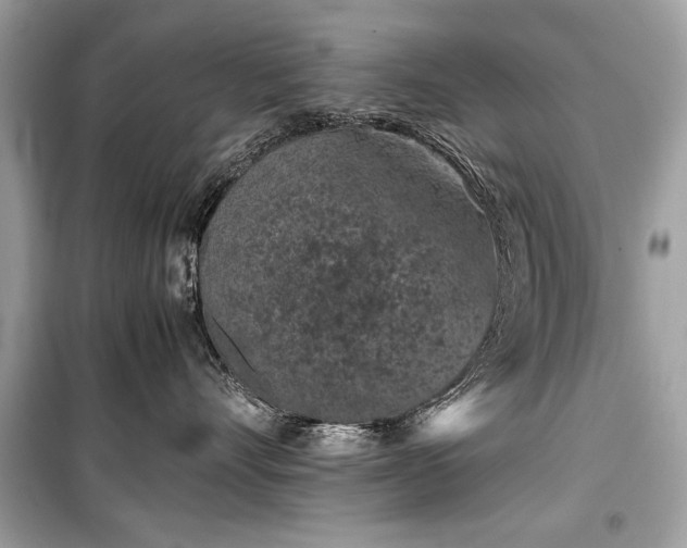 X0000099410528200805161024