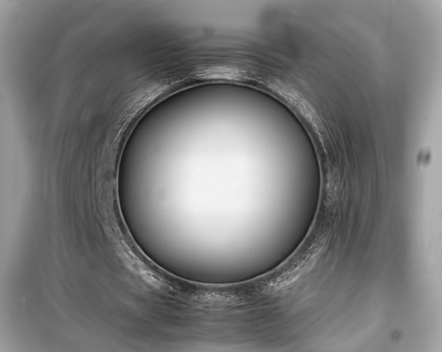 X0000099410529200805161024