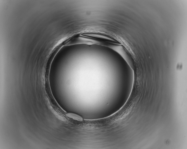 X0000099410530200805161024