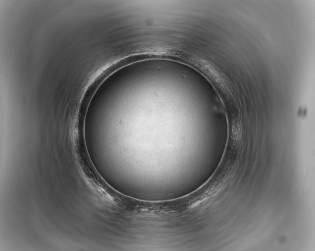 X0000099410532200805161024