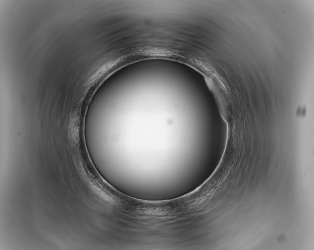 X0000099410533200805161024