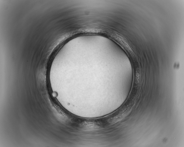 X0000099410534200805161024