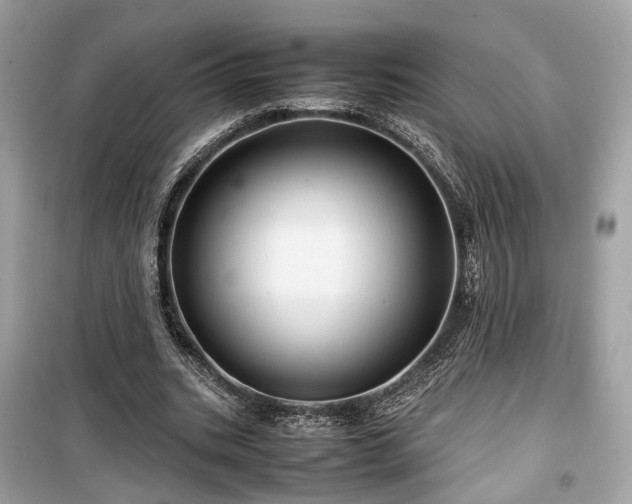 X0000099410535200805161024