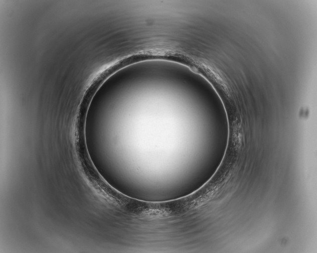 X0000099410536200805161024