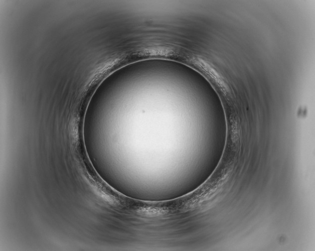 X0000099410537200805161024