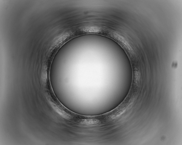 X0000099410541200805161024