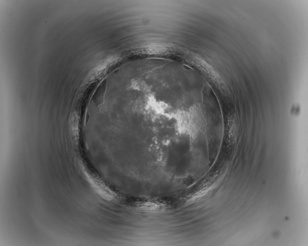 X0000099410542200805161024