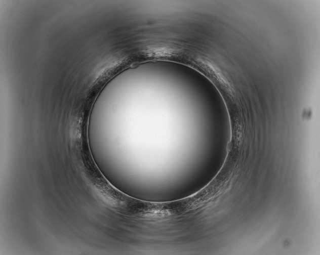 X0000099410543200805161024