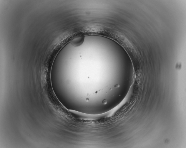 X0000099410544200805161024
