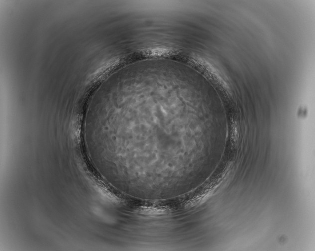 X0000099410545200805161024