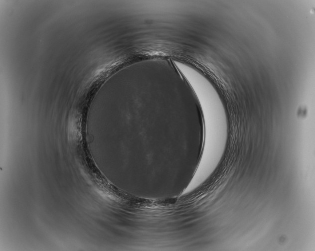 X0000099410547200805161024