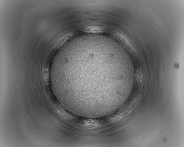 X0000099410549200805161024