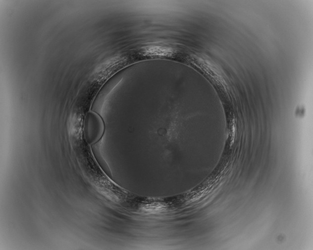 X0000099410551200805161024