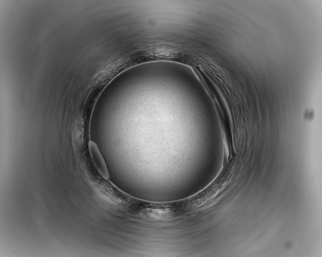 X0000099410552200805161024