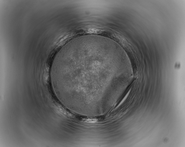 X0000099410554200805161024