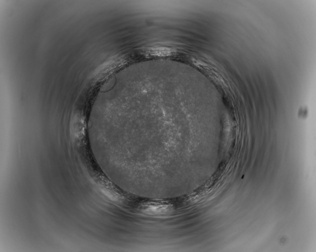 X0000099410555200805161024