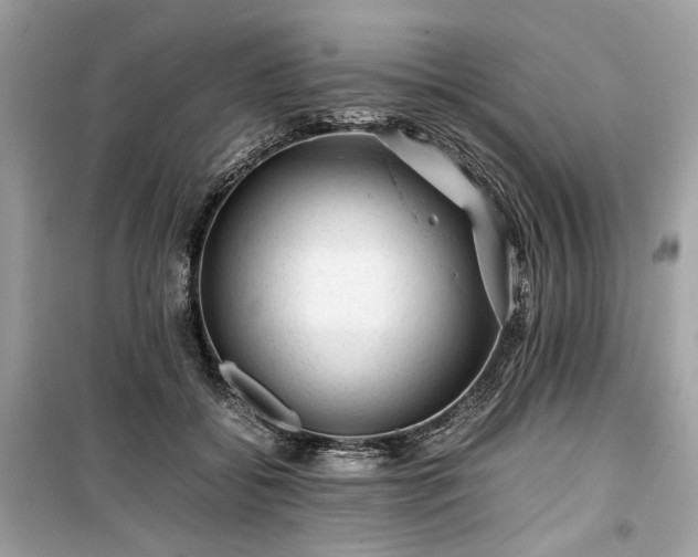 X0000099410556200805161024