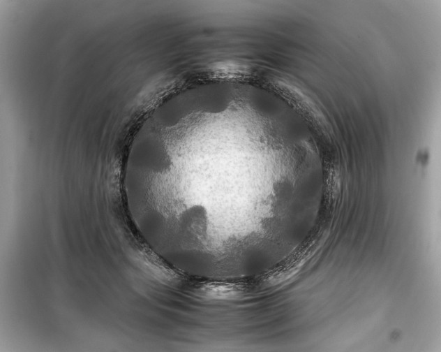 X0000099410557200805161024