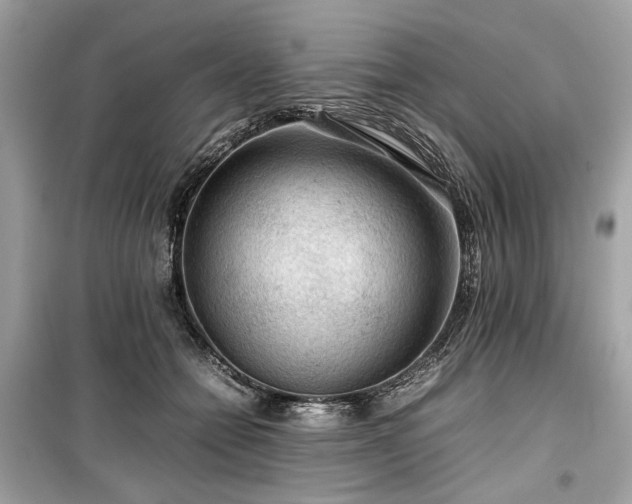X0000099410558200805161024