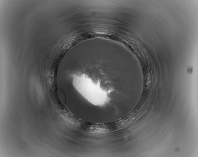 X0000099410559200805161024