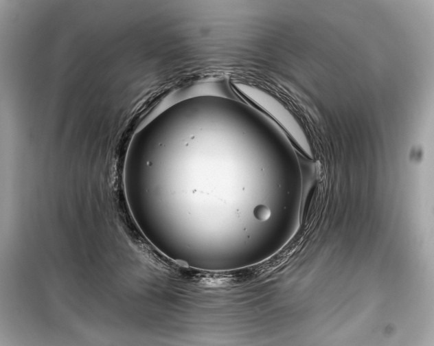 X0000099410560200805161024