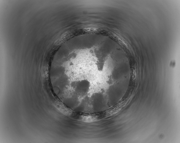 X0000099410561200805161024