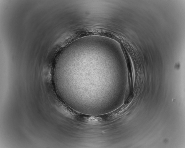X0000099410566200805161024