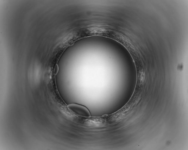 X0000099410567200805161024