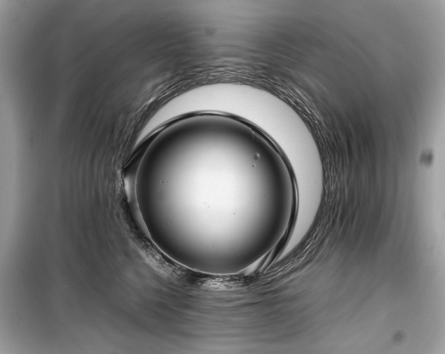 X0000099410568200805161024