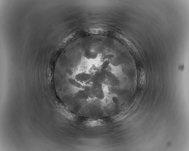 X0000099410569200805161024