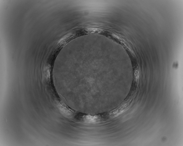 X0000099410570200805161024
