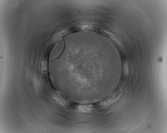 X0000099410571200805161024