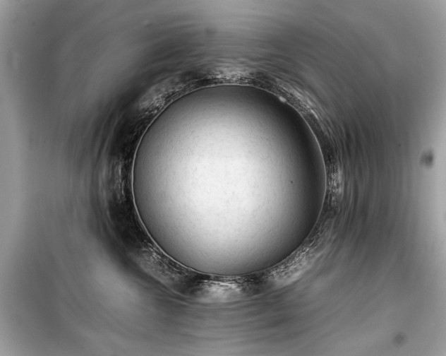 X0000099410572200805161024