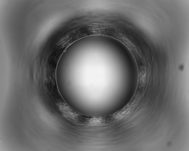 X0000099410574200805161024