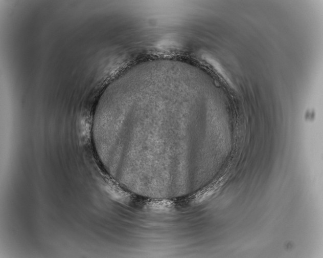 X0000099410576200805161024