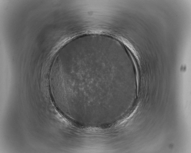 X0000099410577200805161024