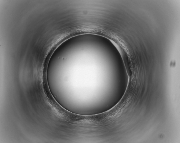X0000099410578200805161024
