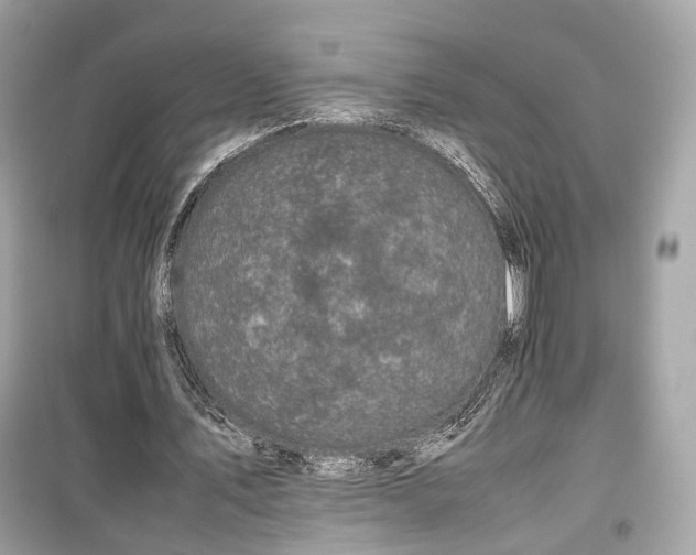 X0000099410579200805161024