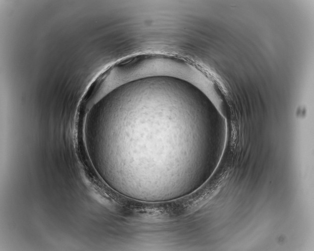 X0000099410580200805161024