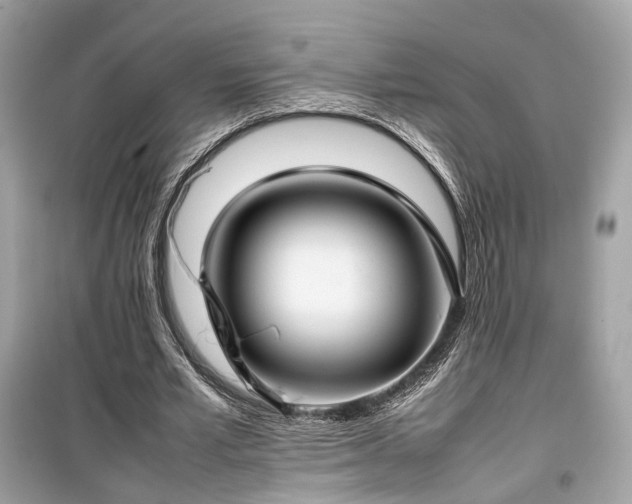 X0000099410581200805161024