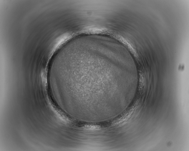 X0000099410582200805161023