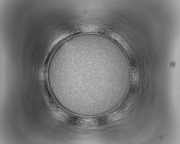 X0000099410583200805161023
